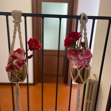 Montecchi House * Verona
